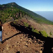 Direkt am Kraterrand führen La Palmas Wanderwege entlang