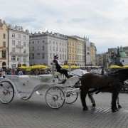 Pferdekutsche auf dem Rynek von Krakau