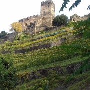 Burg Gutenfels